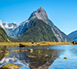 New Zealand Calling